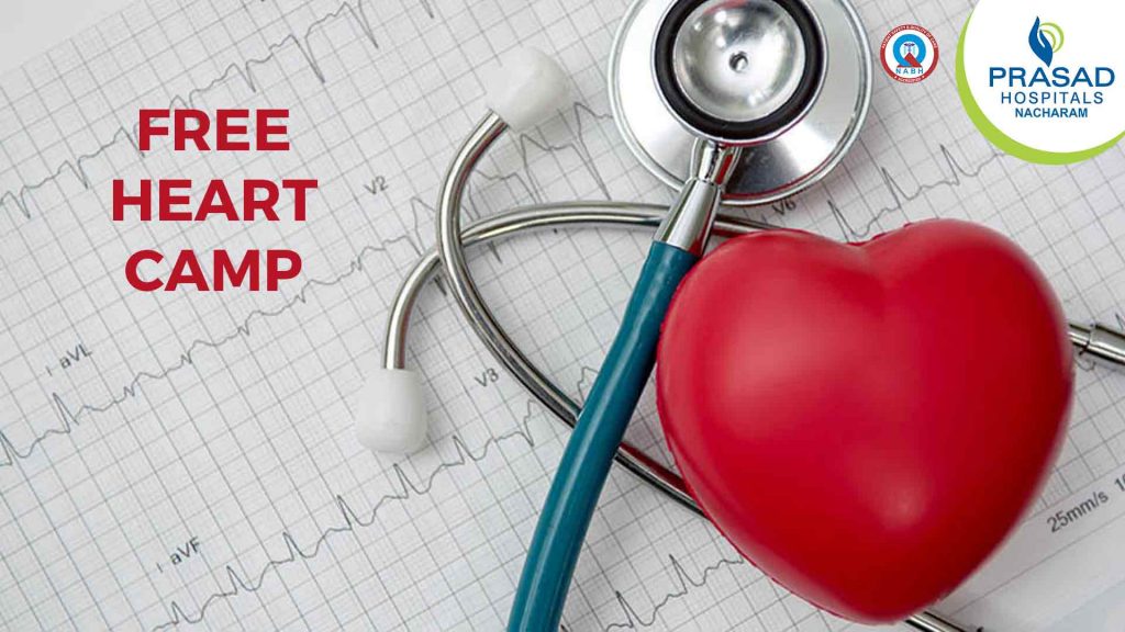 Free Heart Camp