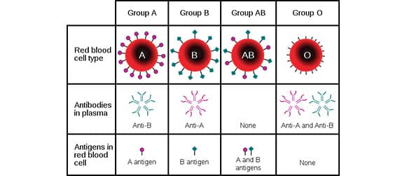 Blood Bank