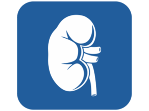 Best Kidney Hospitals in Hyderabad