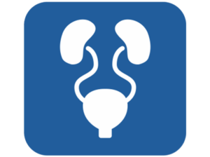Best Urologist Hospital in Hyderabad